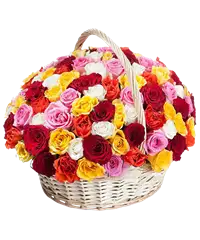 Composizione di rose colorate