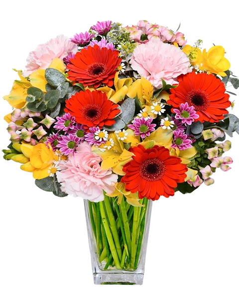 Bouquet regalo